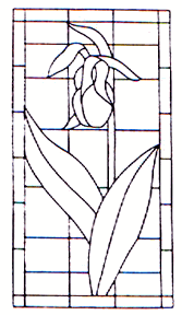 WP-24 Orchid Stained Glass Window Pattern