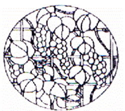 W-D Grape Trellis Circle Stained Glass Window Pattern