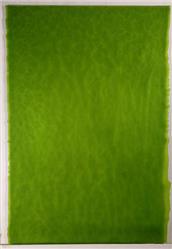 Youghiogheny Lime Green Stipple (4500 SP)