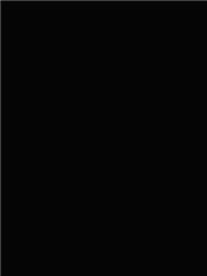 Spectrum System 96 Black Opal (1009SF)