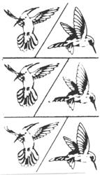 Rub 'N' Etch Hummingbirds