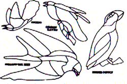 Suncatcher patterns - Audubon's Birds (D-76)