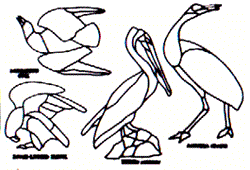 Suncatcher patterns - Audubon's Birds (D-78)