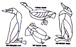 Suncatcher patterns - Audubon's Birds (D-80)