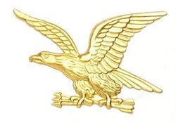 Stamped Brass Eagle